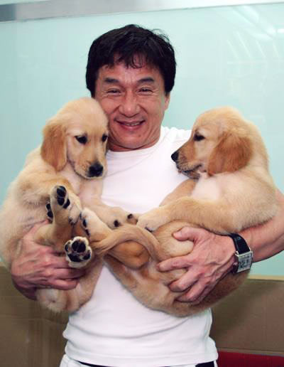 Джеки Чан с щенками. Позитивное фото